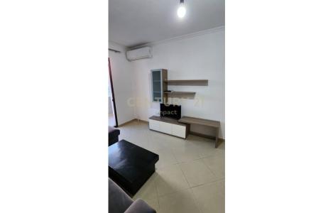 Apartament 1+1