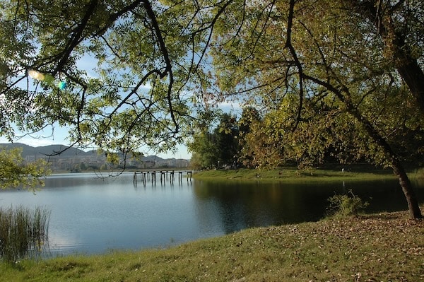 blog-image